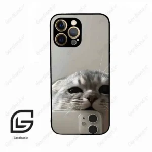 قاب گوشی آیفون 12 پرومکس (Iphone 12 Pro Max ) طرح گربه کد 2246