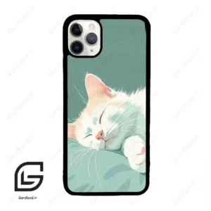 قاب گوشی آیفون 11 پرومکس (Iphone 11 Pro Max ) طرح گربه کد 2403