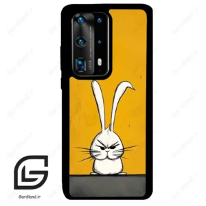 قاب گوشی هوآوی P40 پرو پلاس (Huawei P40 Pro Plus ) طرح خرگوش کد 2579